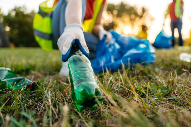 Best Yard Cleanup Services  in New Canaan, CT